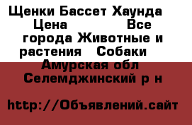 Щенки Бассет Хаунда  › Цена ­ 25 000 - Все города Животные и растения » Собаки   . Амурская обл.,Селемджинский р-н